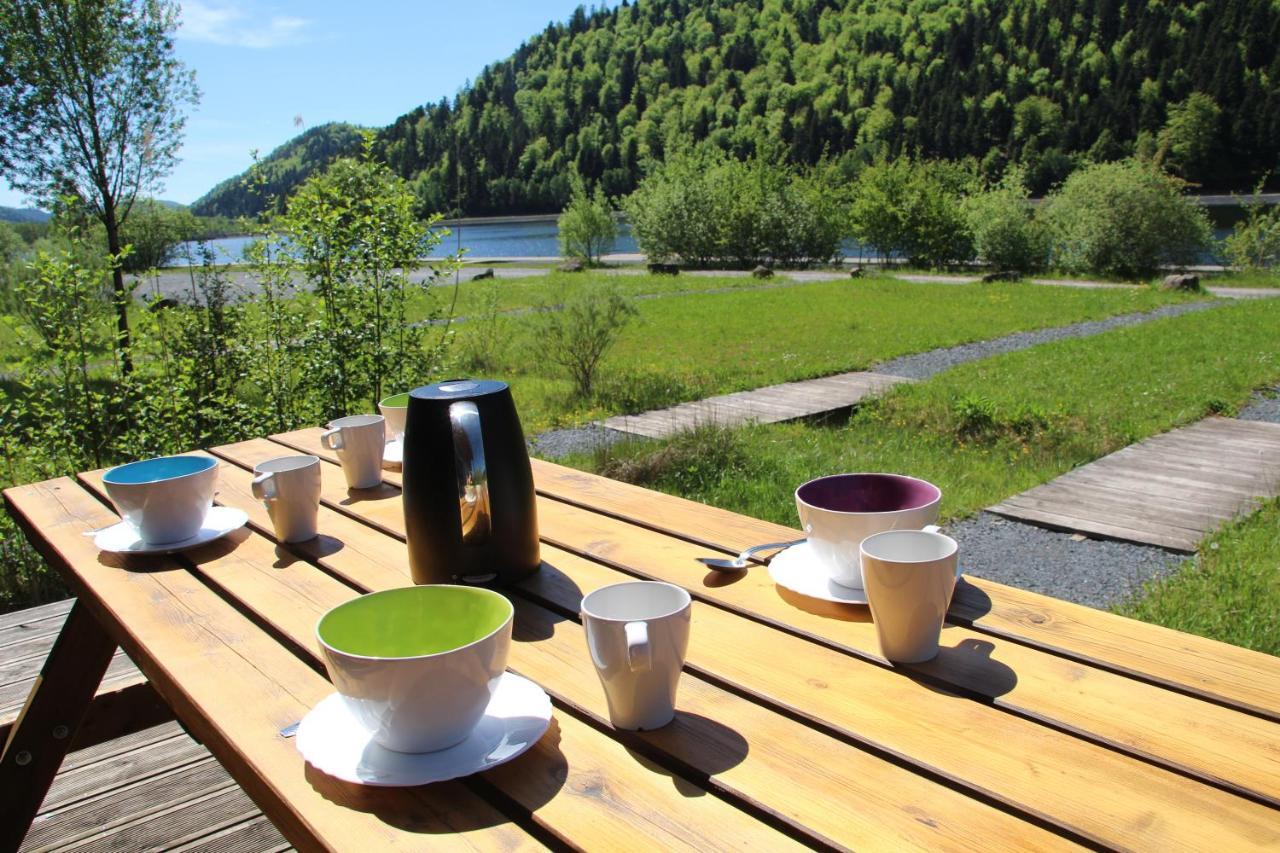 Camping Des Lacs*** Villa Celles-sur-Plaine Esterno foto